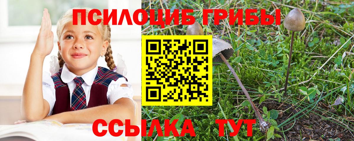 Псилоцибиновые грибы ЛСД  Вход с VPN  Псилоцибиновые грибы Psilocybine cubensis  Новотроицк 